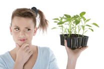 10 soluții pe bază de plante pentru menopauza timpurie de la 3 medicină de plante