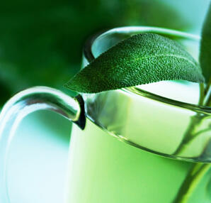 Dürfen Schwangere grünen Tee trinken?
