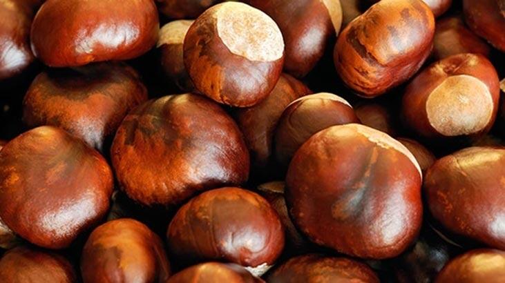 Hvordan opbevarer man kastanjer? Hvad er Chestnut-opbevaringsmetoder?