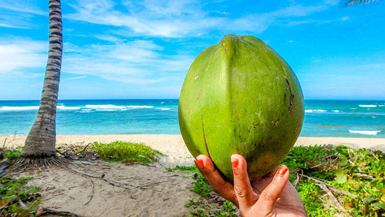 Care sunt beneficiile apei de cocos pentru piele, păr și corp?