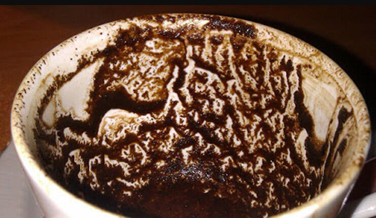 Que signifie voir une girafe dans Falcon ? Qu'est-ce que cela signifie d'avoir une forme de girafe dans la prédiction de la bonne aventure du café ?
