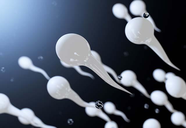 Was ist ein Spermatest, wie wird er durchgeführt?