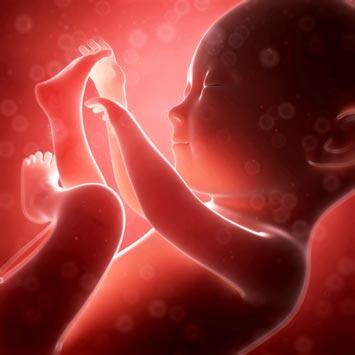Abdominalne bebe: ektopična trudnoća