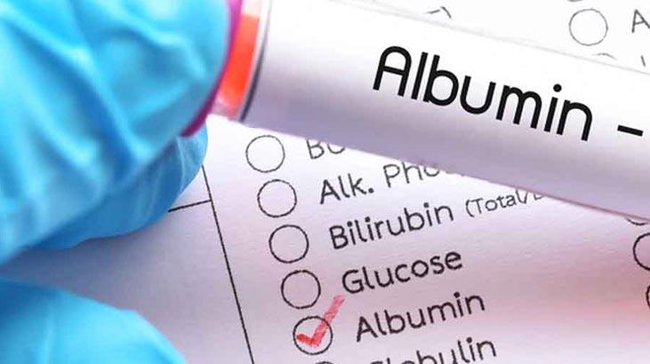 Qu'est-ce que l'albumine ? Quelle devrait être l'albumine? Causes de hauteur et de faible